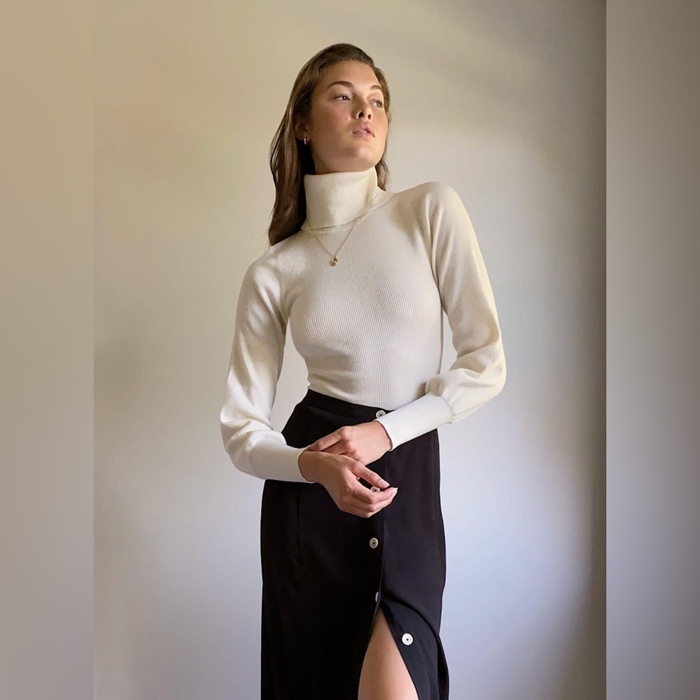 Aritzia Wilfred Positano Turtleneck